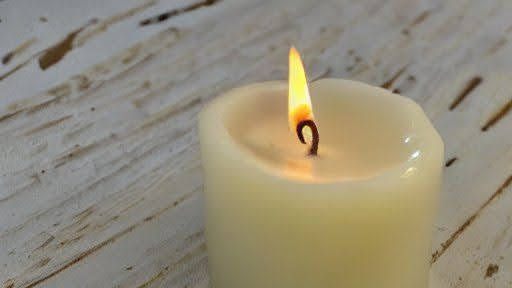 Can You put candle wax in the compost bin? Find out here!